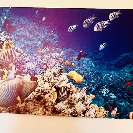 Casa Vacanza Cuto Bagheria Ngoại thất bức ảnh